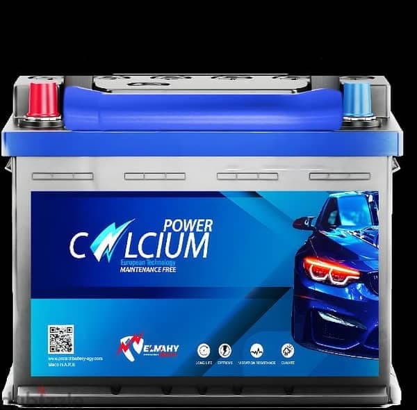 NS40ZL CALCIUM POWER